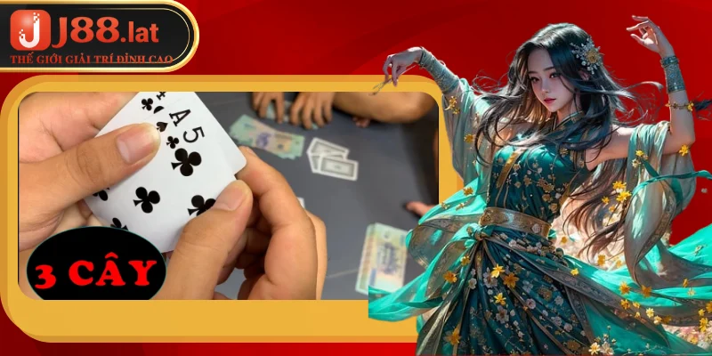 Game bài 3 cây – Trò chơi giải trí đỉnh cao để kiếm tiền Một số thuật ngữ quan trọng trong game bài 3 cây